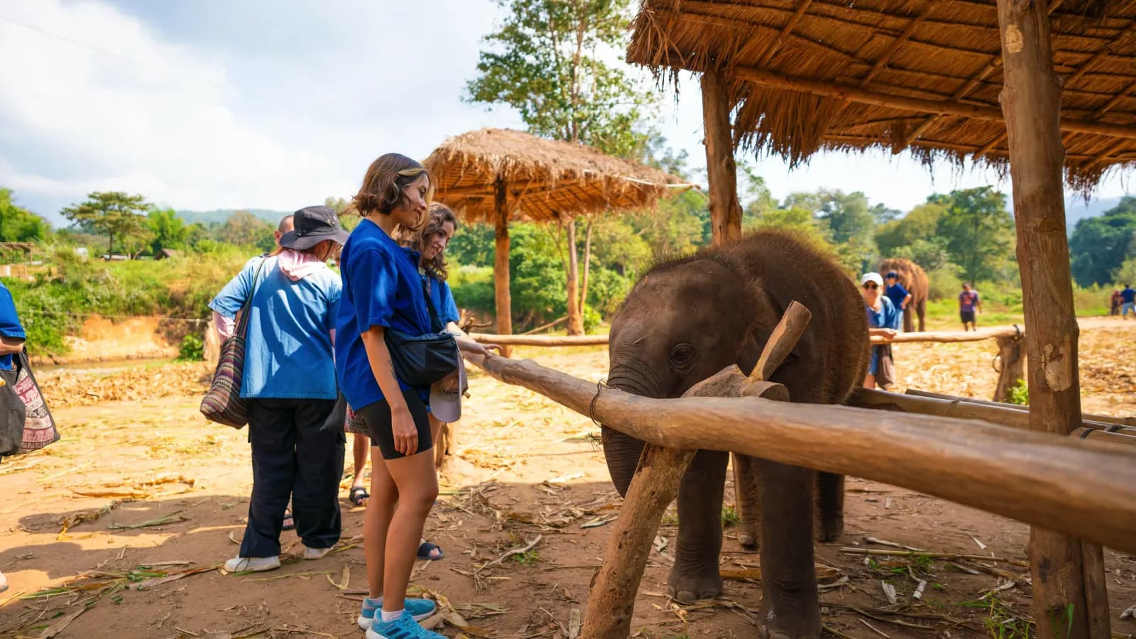 Katherine Velasquez alimentando a un elefante bebé en un santuario en Tailandia
