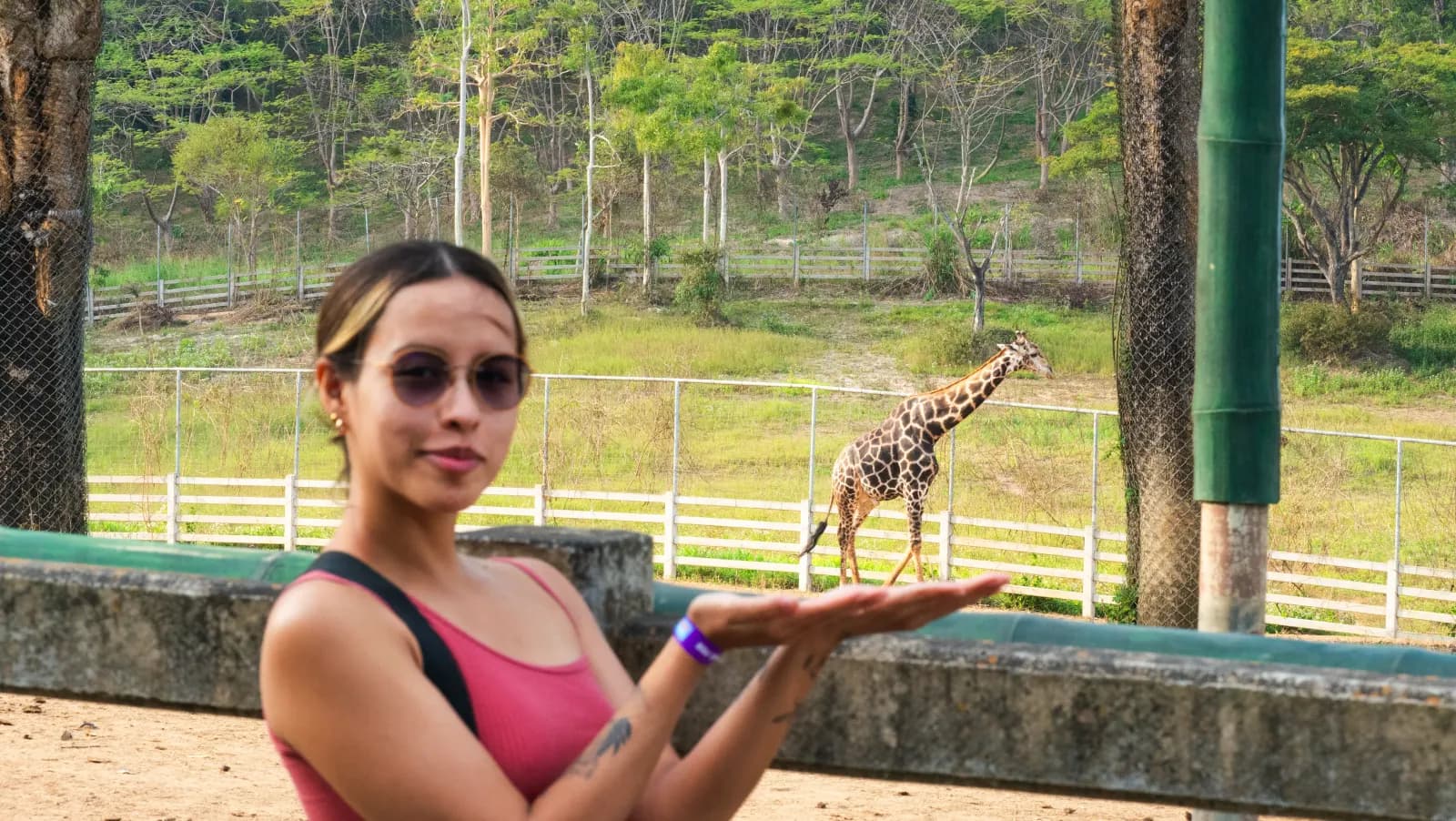 Katherine Velasquez jugando con la perspectiva de una jirafa en un safari
